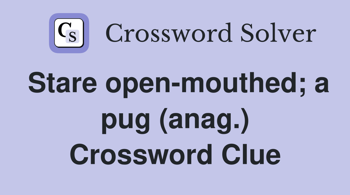 Stare open-mouthed; a pug (anag.) Crossword Clue