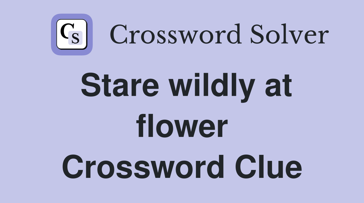 Stare wildly at flower Crossword Clue