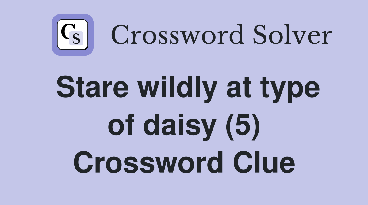 Stare wildly at type of daisy (5) Crossword Clue