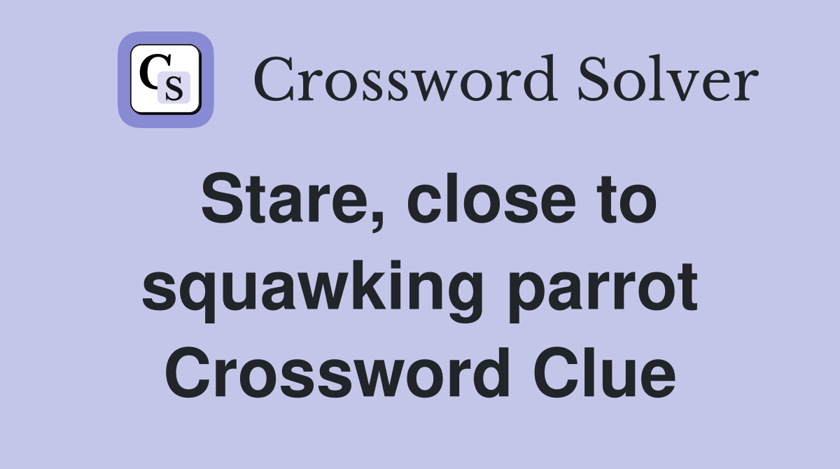 Stare, close to squawking parrot Crossword Clue