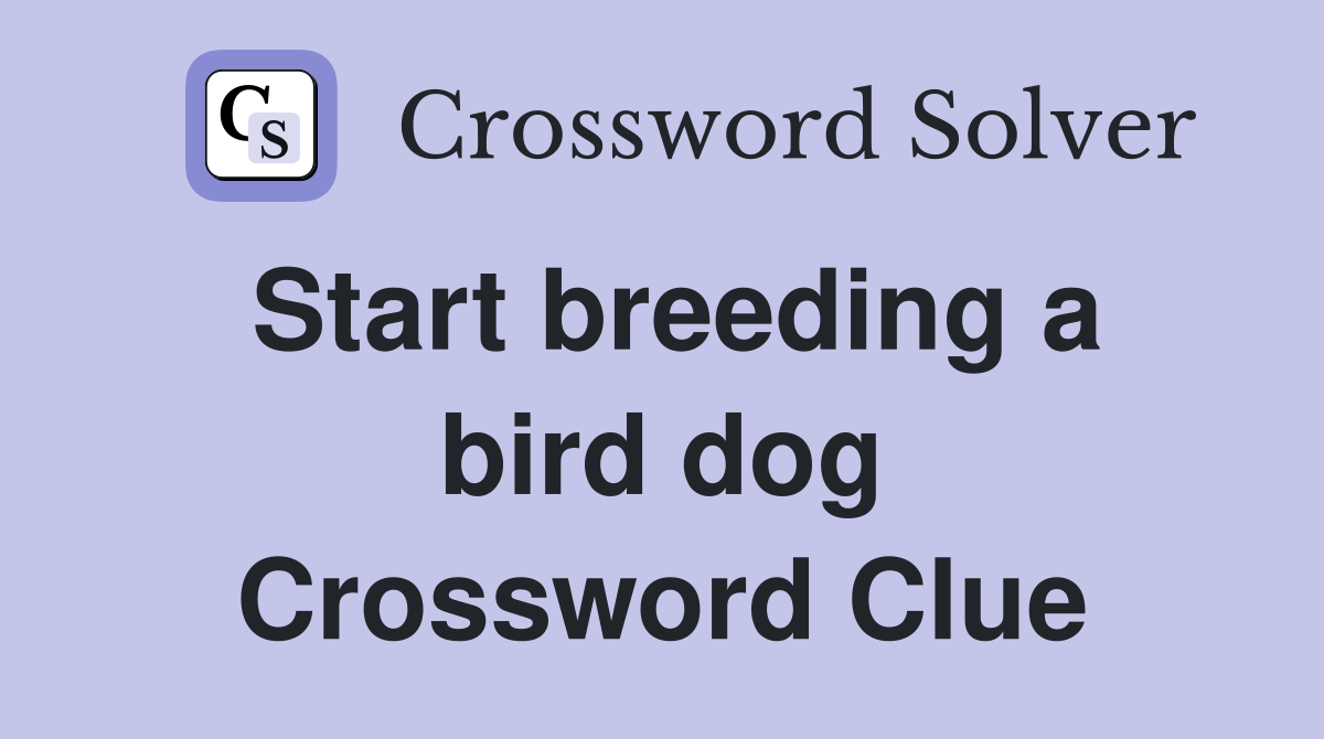 Start breeding a bird dog Crossword Clue