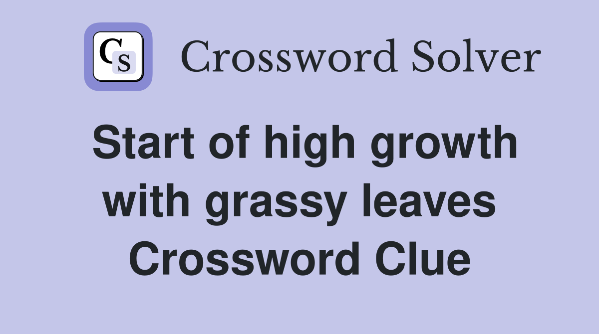 Start of high growth with grassy leaves Crossword Clue