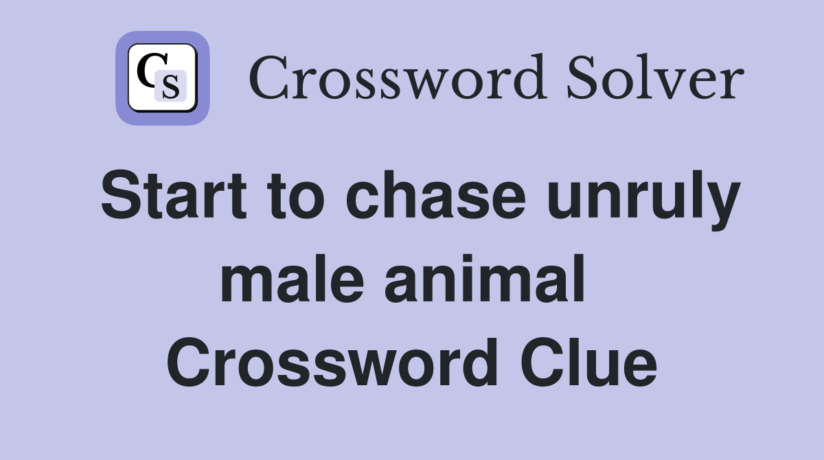 Start to chase unruly male animal  Crossword Clue