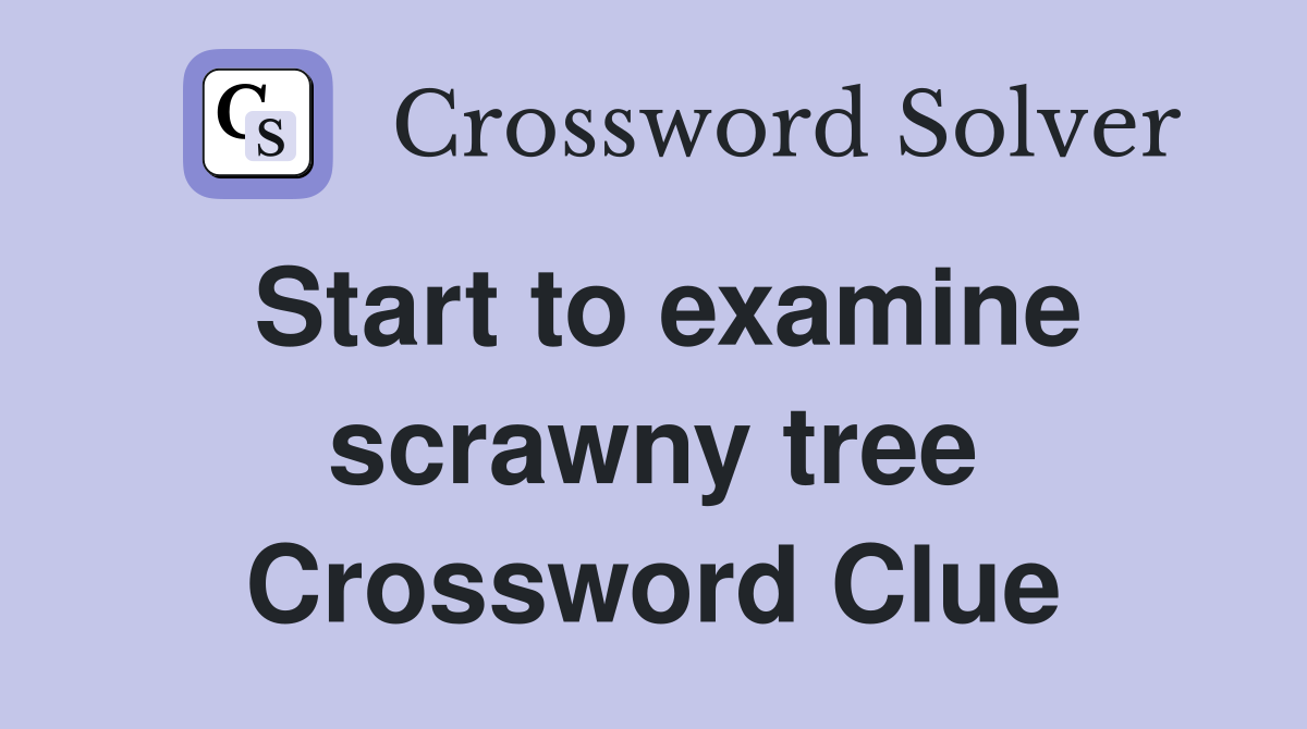 Start to examine scrawny tree Crossword Clue