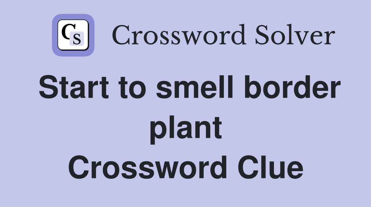 Start to smell border plant Crossword Clue