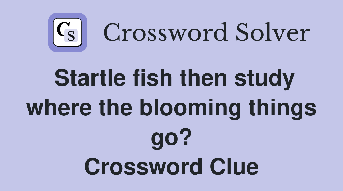 Startle fish then study where the blooming things go? Crossword Clue