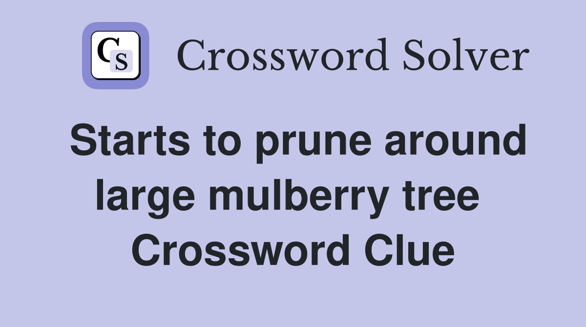 Starts to prune around large mulberry tree  Crossword Clue