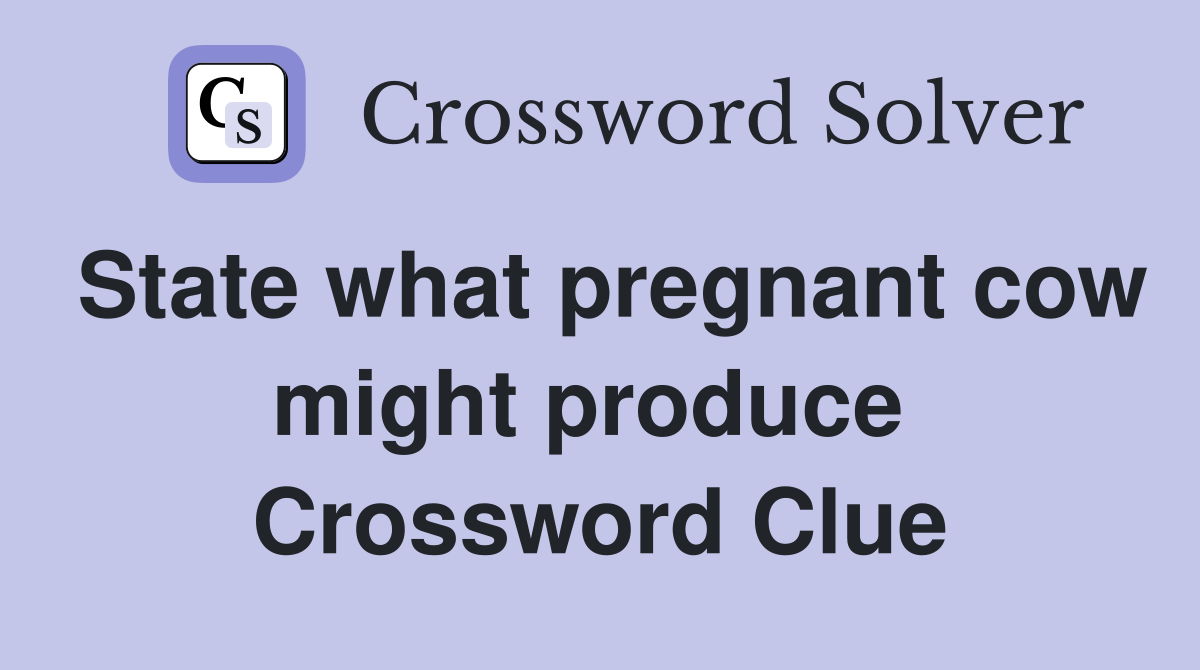 State what pregnant cow might produce  Crossword Clue