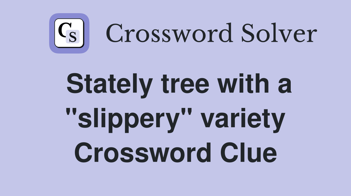 Stately tree with a "slippery" variety Crossword Clue