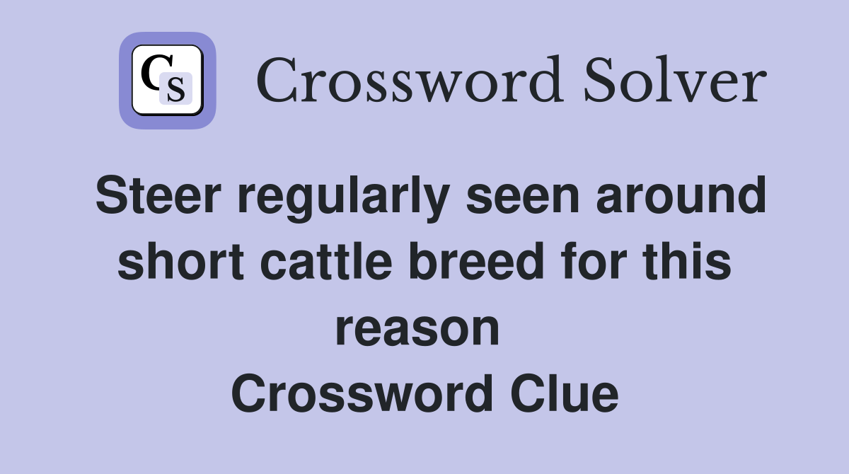Steer regularly seen around short cattle breed for this reason  Crossword Clue