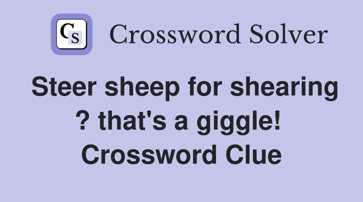 Steer sheep for shearing ? that's a giggle!  Crossword Clue