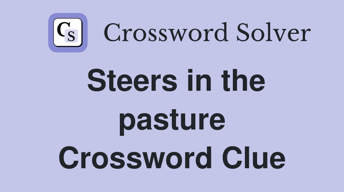 Steers in the pasture Crossword Clue