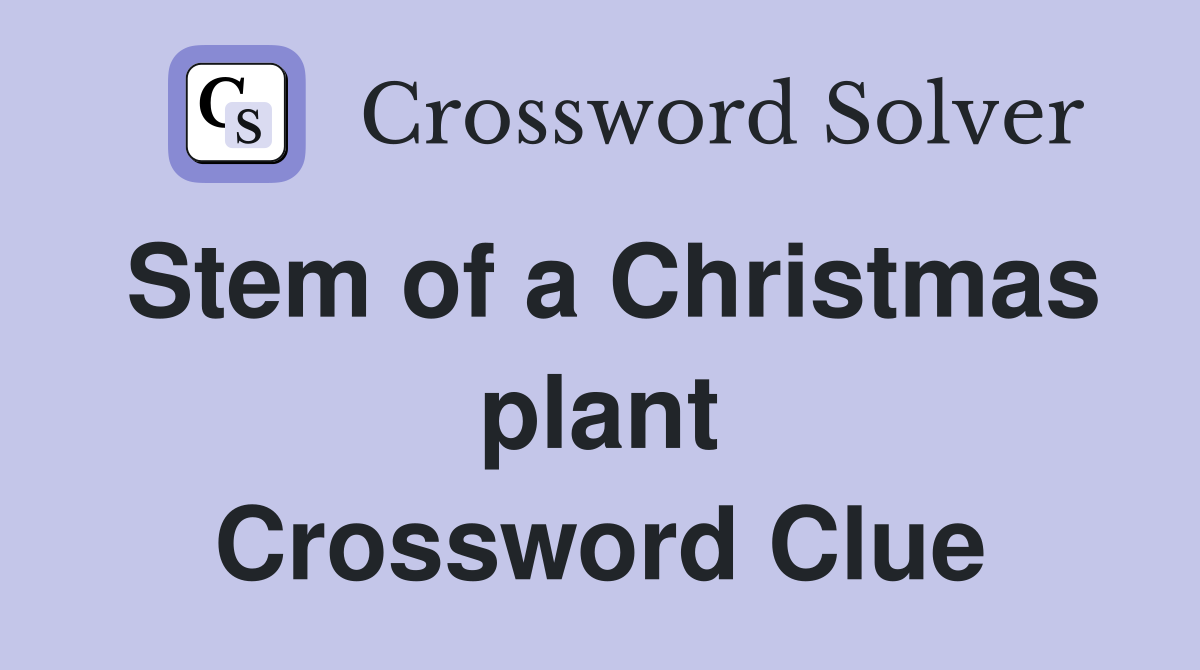 Stem of a Christmas plant Crossword Clue