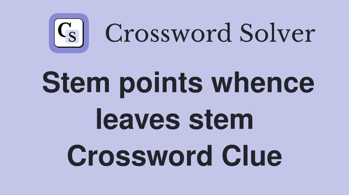 Stem points whence leaves stem Crossword Clue