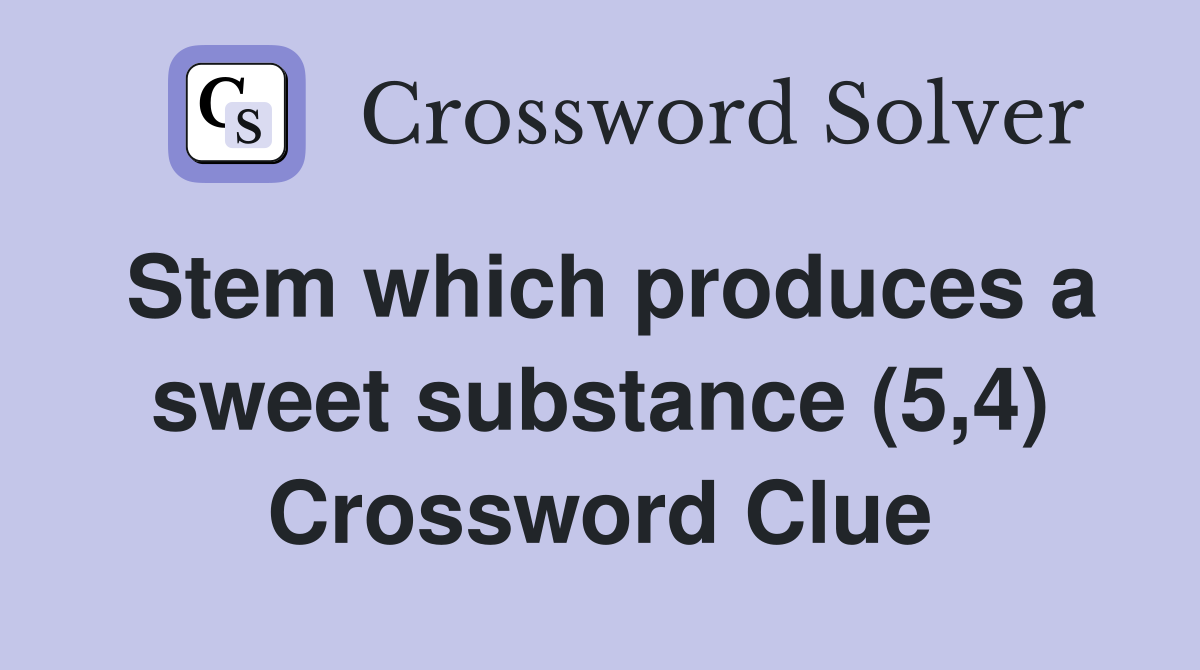 Stem which produces a sweet substance (5,4) Crossword Clue