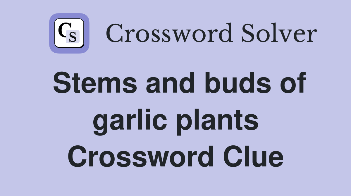 Stems and buds of garlic plants Crossword Clue