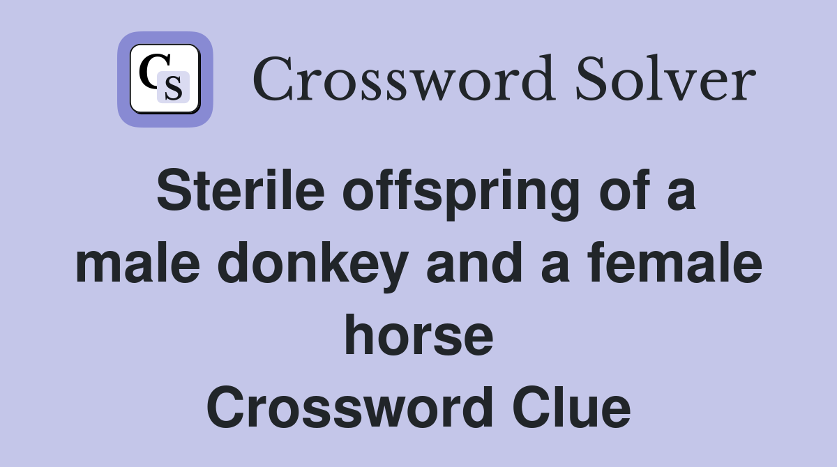 Sterile offspring of a male donkey and a female horse Crossword Clue
