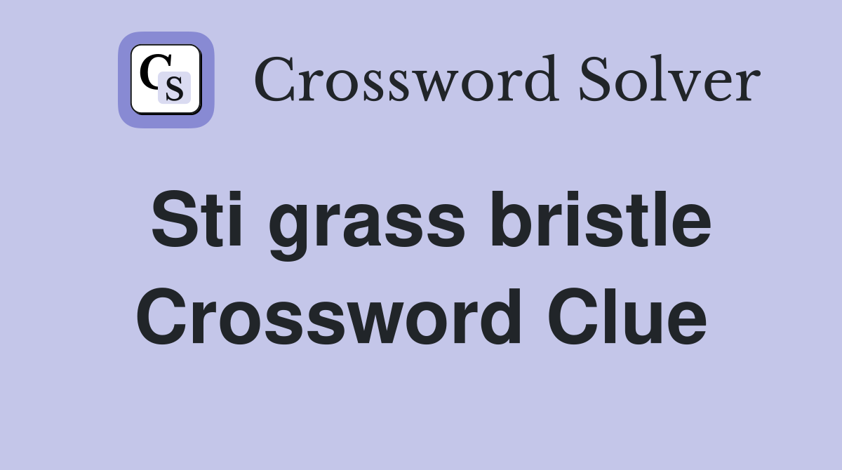 Sti grass bristle Crossword Clue