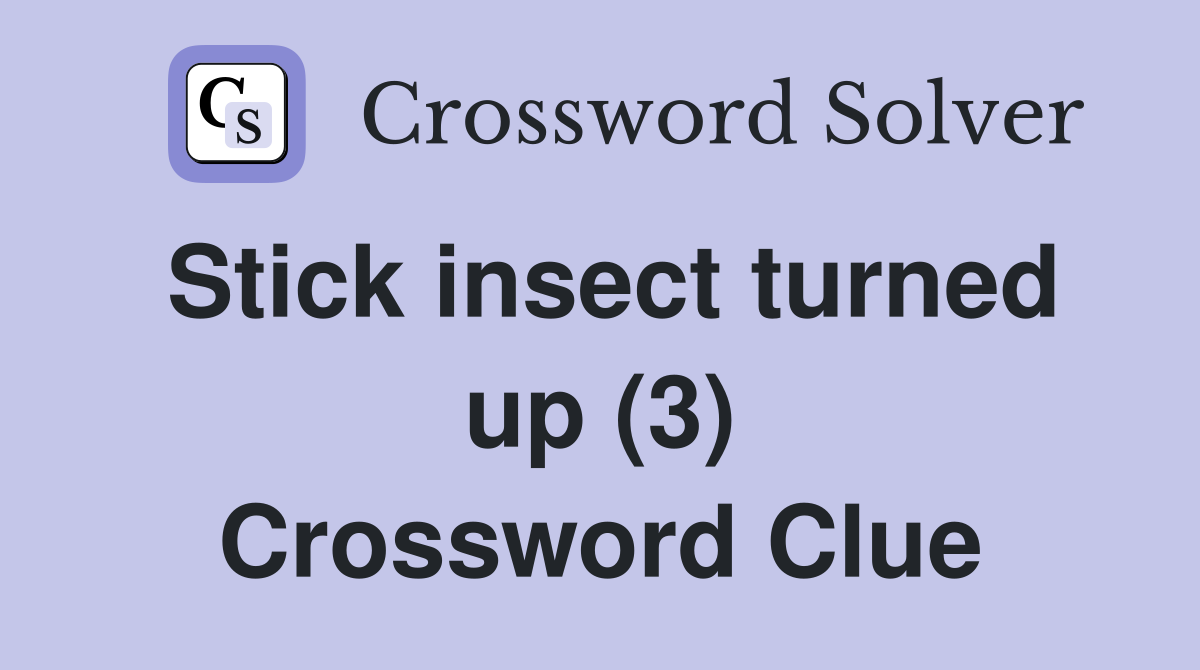 Stick insect turned up (3) Crossword Clue