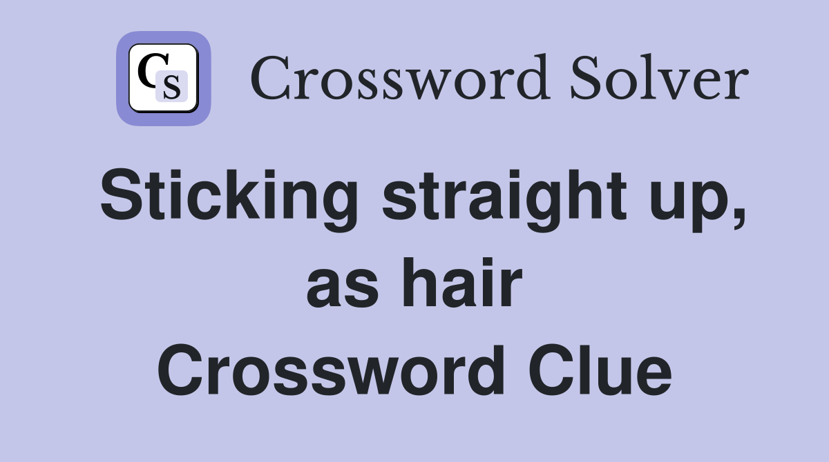 Sticking straight up, as hair Crossword Clue