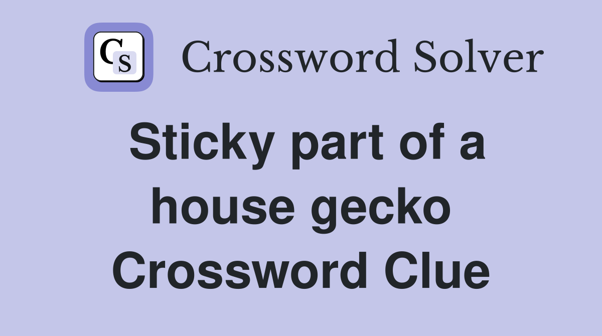 Sticky part of a house gecko Crossword Clue