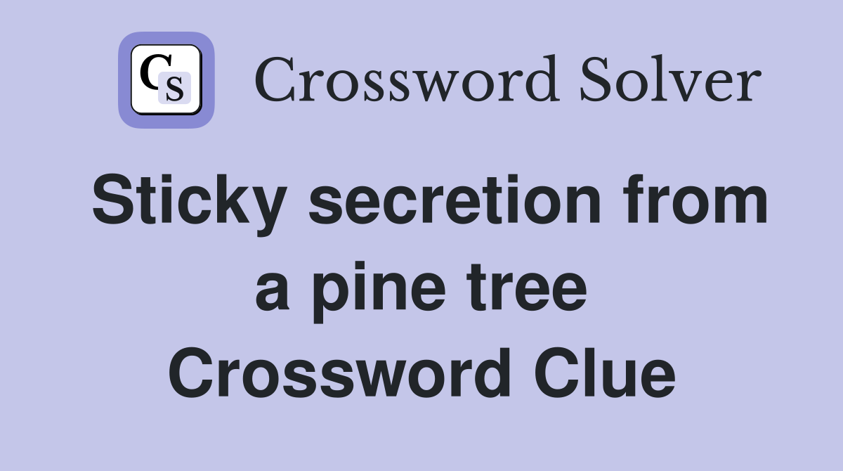 Sticky secretion from a pine tree Crossword Clue