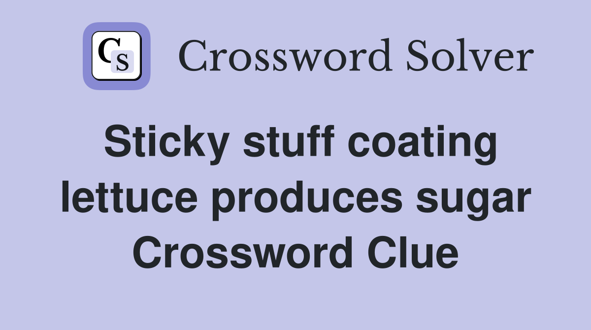 Sticky stuff coating lettuce produces sugar Crossword Clue