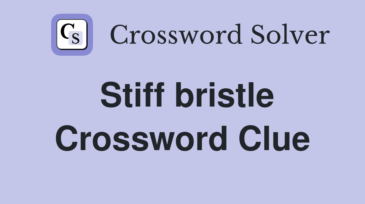 Stiff bristle Crossword Clue