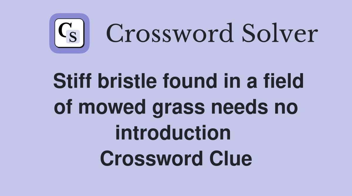 Stiff bristle found in a field of mowed grass needs no introduction  Crossword Clue