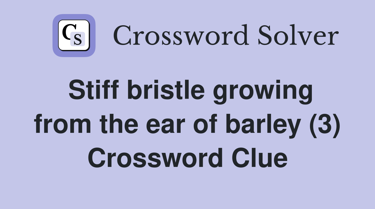 Stiff bristle growing from the ear of barley (3) Crossword Clue