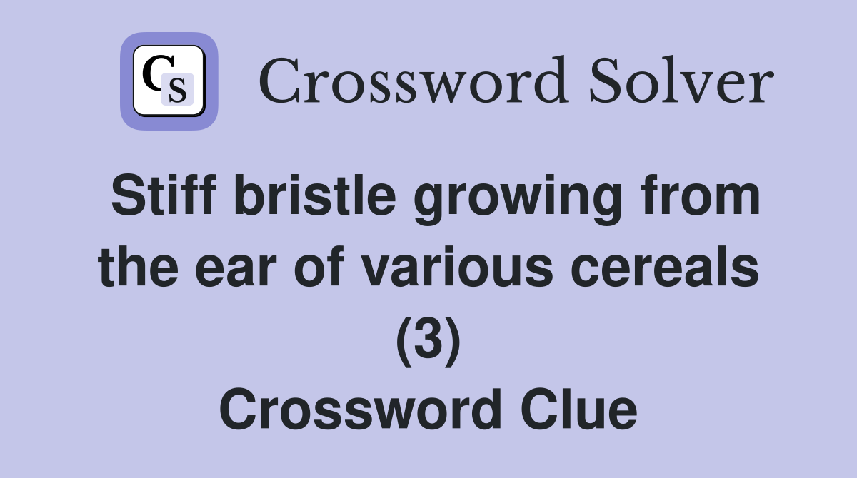 Stiff bristle growing from the ear of various cereals (3) Crossword Clue