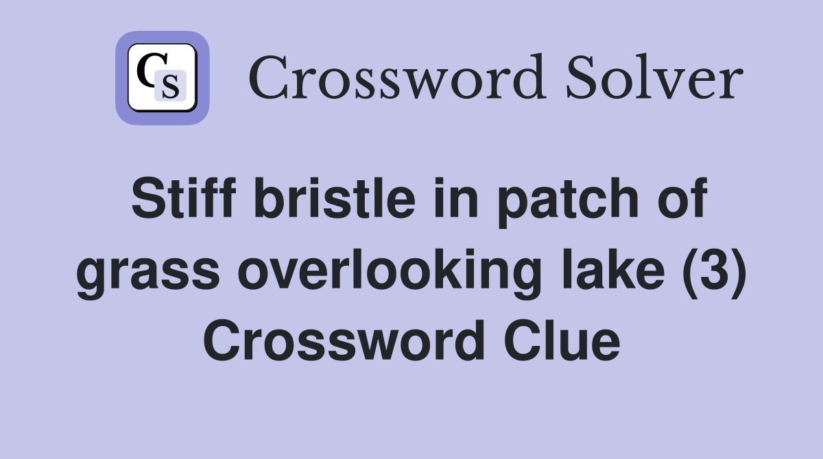 Stiff bristle in patch of grass overlooking lake (3) Crossword Clue