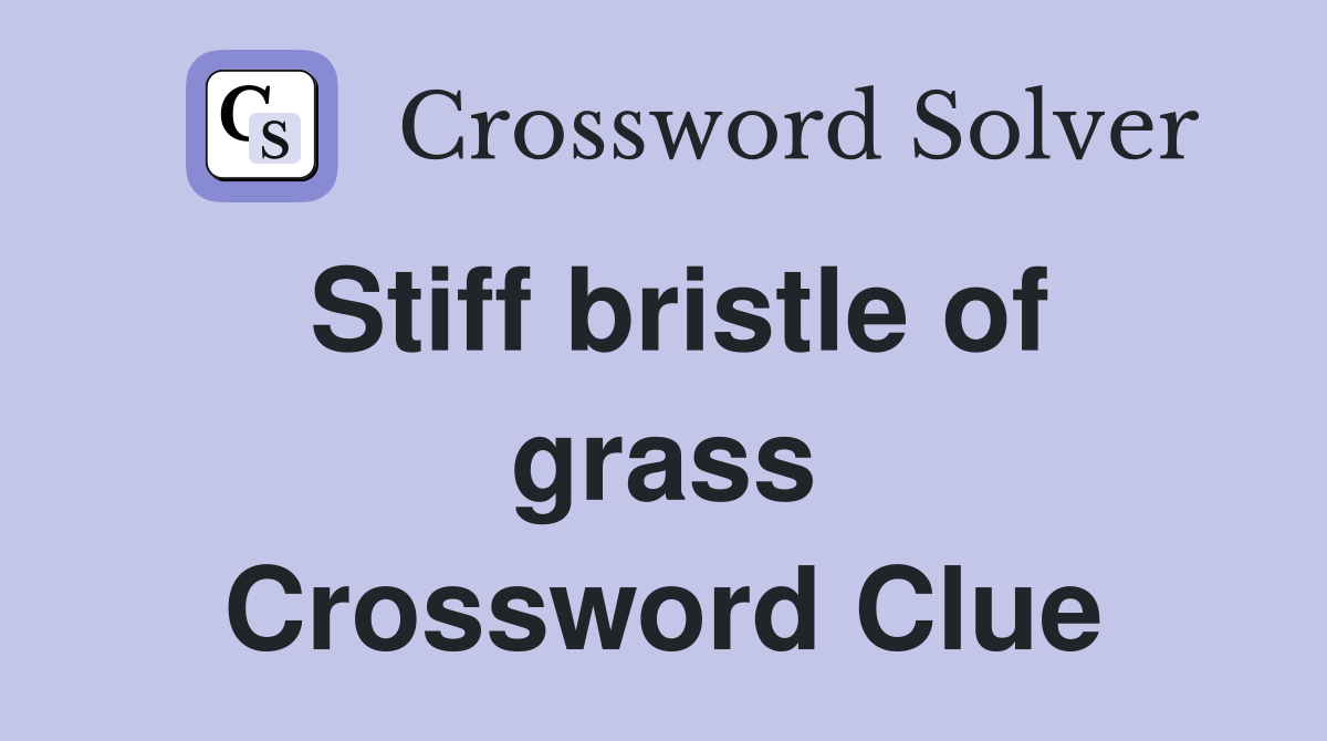 Stiff bristle of grass Crossword Clue