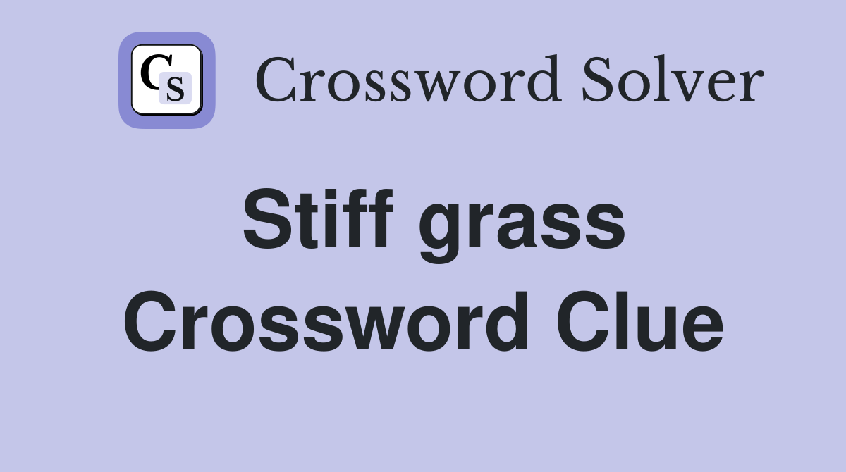 Stiff grass Crossword Clue