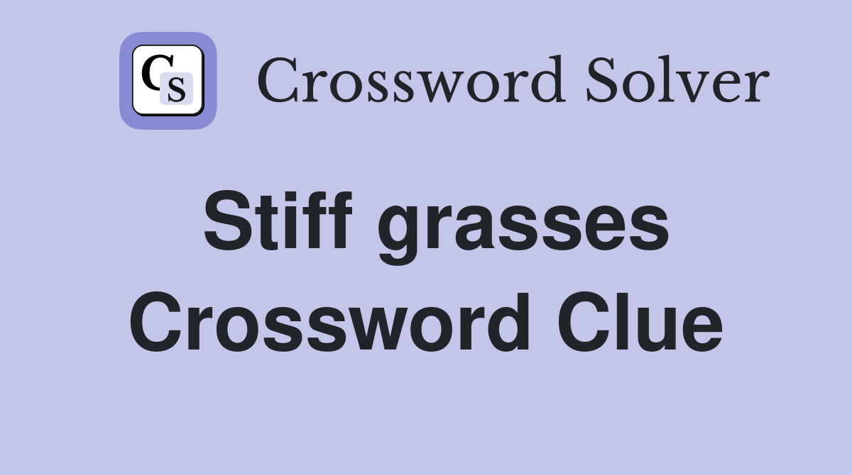 Stiff grasses Crossword Clue