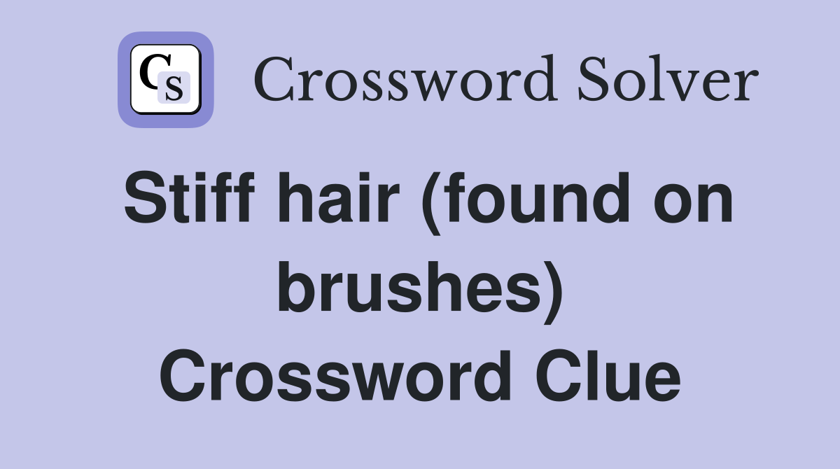 Stiff hair (found on brushes) Crossword Clue