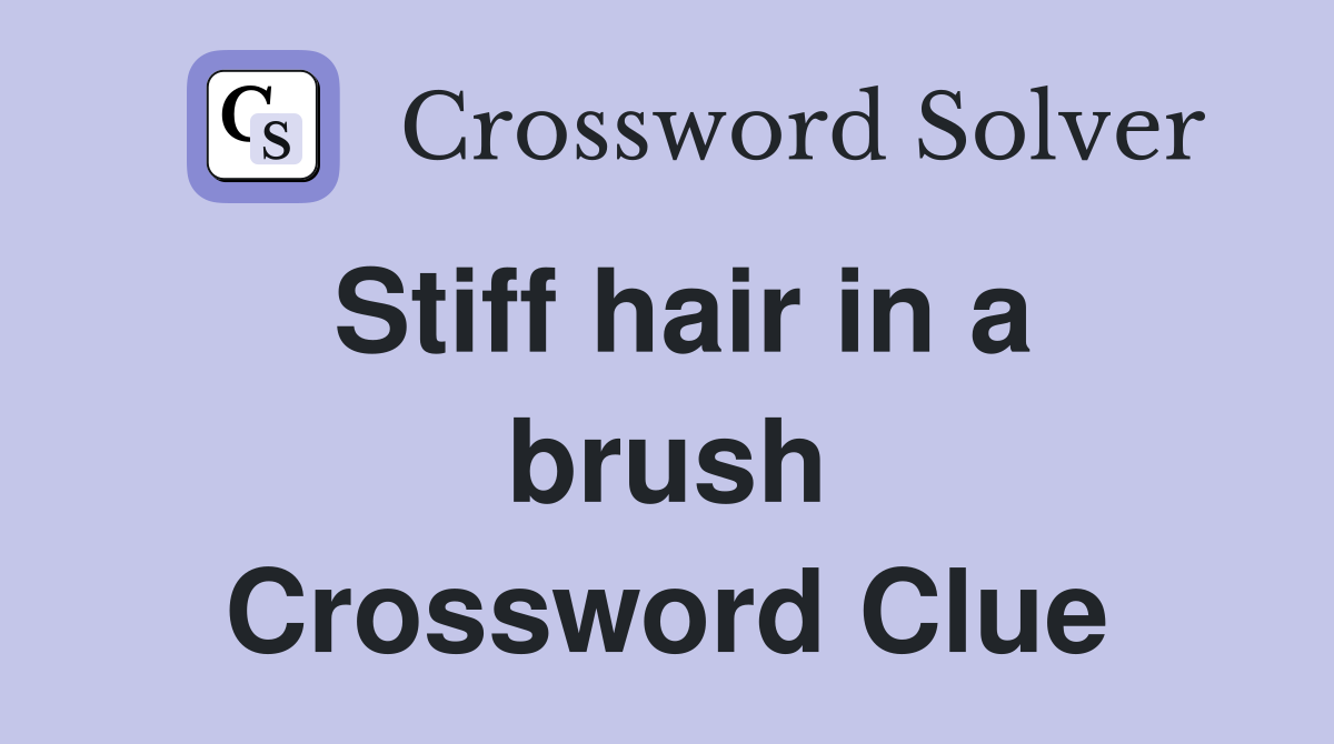 Stiff hair in a brush Crossword Clue