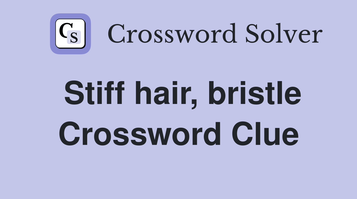 Stiff hair, bristle Crossword Clue