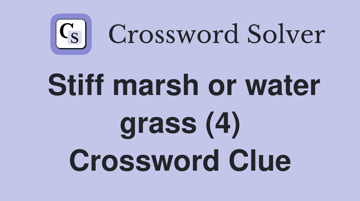 Stiff marsh or water grass (4) Crossword Clue