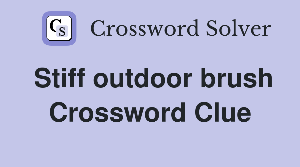 Stiff outdoor brush Crossword Clue