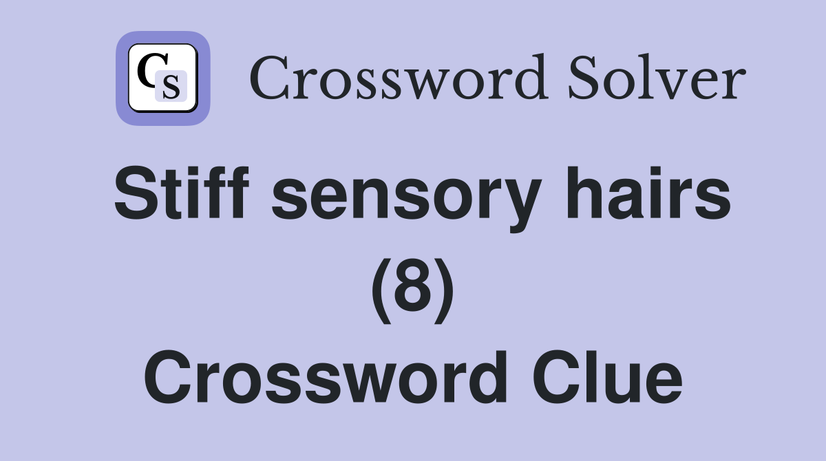 Stiff sensory hairs (8) Crossword Clue