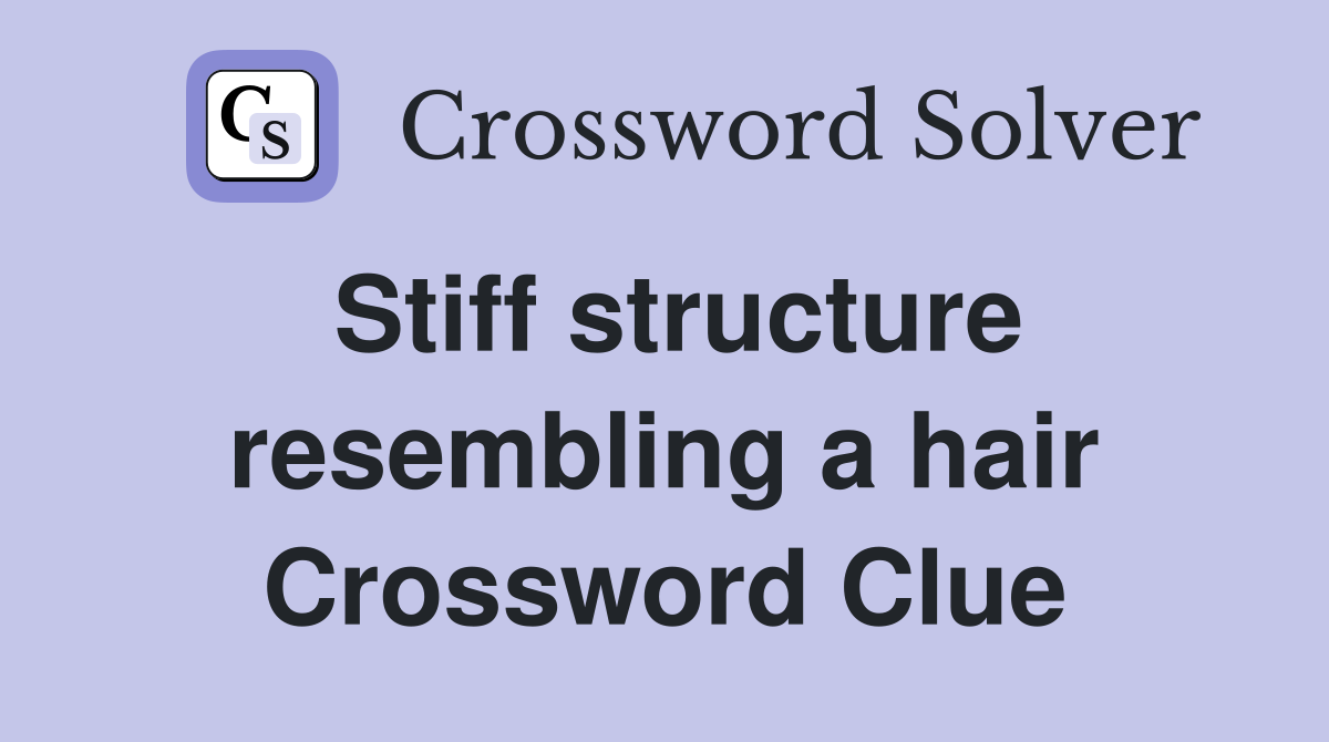 Stiff structure resembling a hair Crossword Clue
