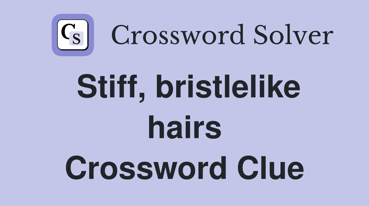 Stiff, bristlelike hairs Crossword Clue