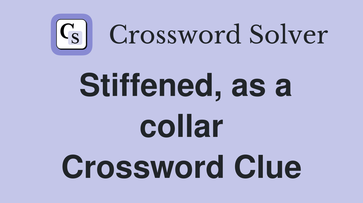 Stiffened, as a collar Crossword Clue