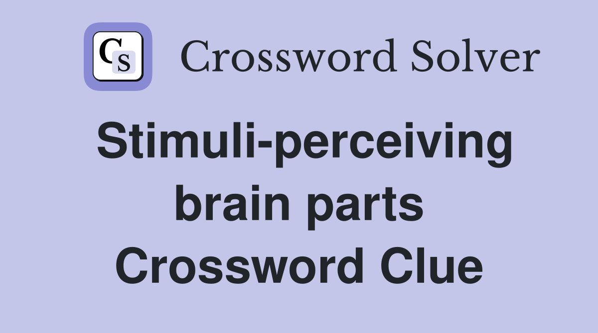 Stimuli-perceiving brain parts Crossword Clue