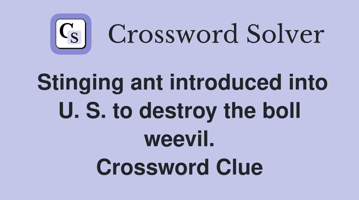 Stinging ant introduced into U. S. to destroy the boll weevil. Crossword Clue