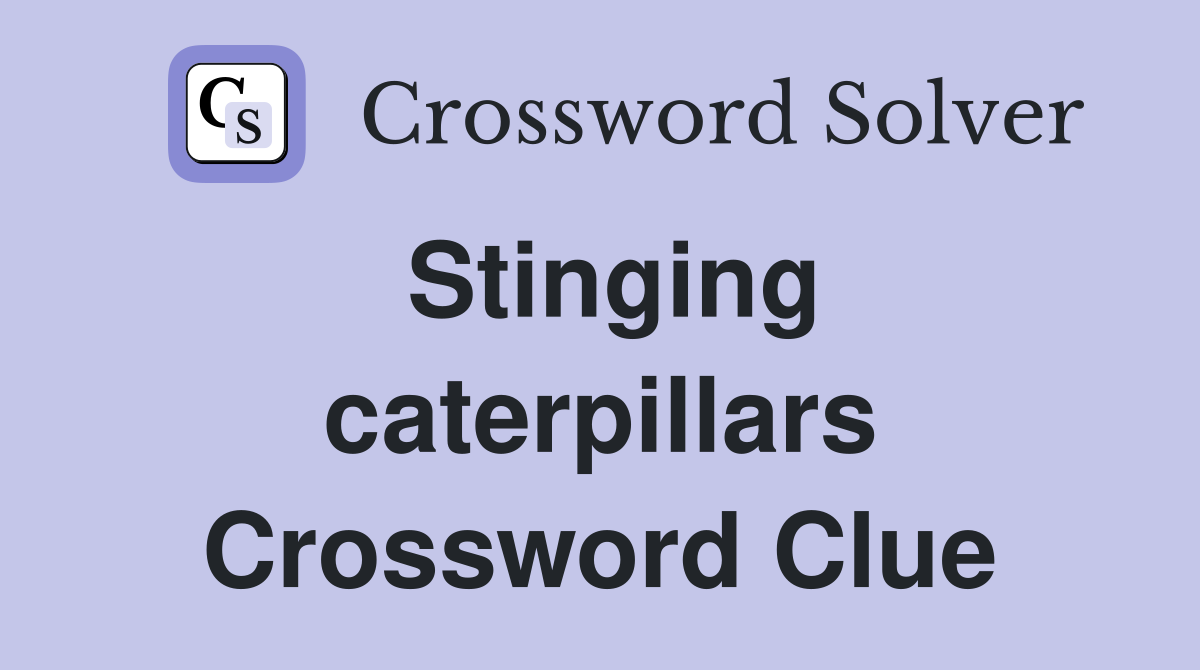 Stinging caterpillars Crossword Clue