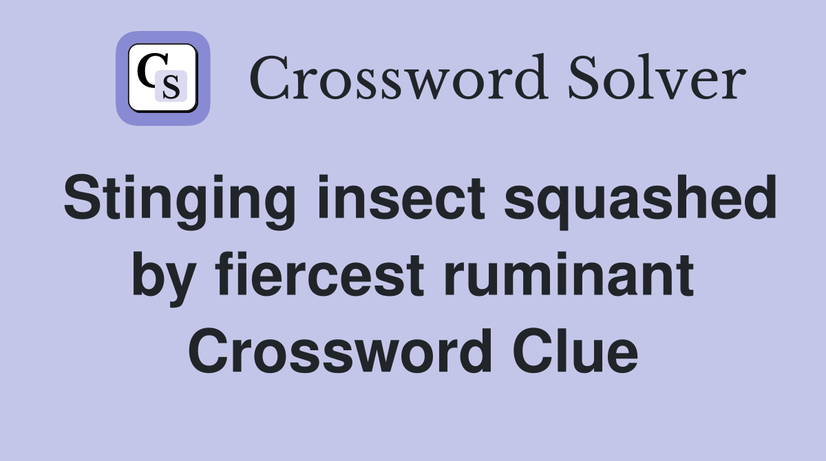 Stinging insect squashed by fiercest ruminant Crossword Clue