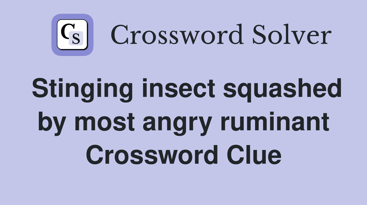Stinging insect squashed by most angry ruminant Crossword Clue