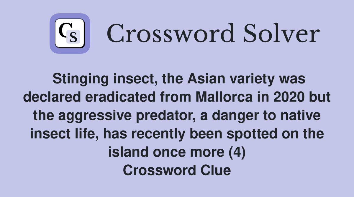 Stinging insect, the Asian variety was declared eradicated from Mallorca in 2020 but the aggressive predator, a danger to native insect life, has recently been spotted on the island once more (4) Crossword Clue